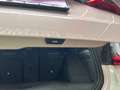BMW 318 2l 150-PS 3er Touring G21 Weiß - thumbnail 22