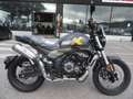 Voge 500R TROFEO 525 ACX SCRAMBLER Nero - thumbnail 10