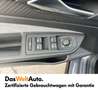 Volkswagen Golf R R-Line TDI 4MOTION DSG Grau - thumbnail 11