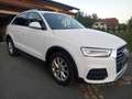 Audi Q3 Q3 2,0 TDI Intense quattro Intense Weiß - thumbnail 1