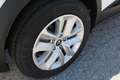 Mitsubishi Grandis Invite 1,3 l DI-T MHEV Weiß - thumbnail 8