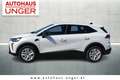 Mitsubishi Grandis Invite 1,3 l DI-T MHEV Weiß - thumbnail 4