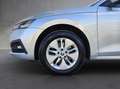 Skoda Octavia 4x4 Ambition TDI DSG Silber - thumbnail 7