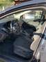 Ford Focus 5p 1.6 Plus Gpl 120cv - thumbnail 2