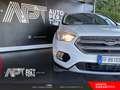 Ford Kuga Kuga 1.5 tdci Business s&s 2wd 120cv Bianco - thumbnail 29