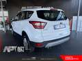 Ford Kuga Kuga 1.5 tdci Business s&s 2wd 120cv Bianco - thumbnail 4