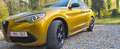 Alfa Romeo Stelvio 2.2 MJD AWD GT Junior Ocra - thumbnail 9