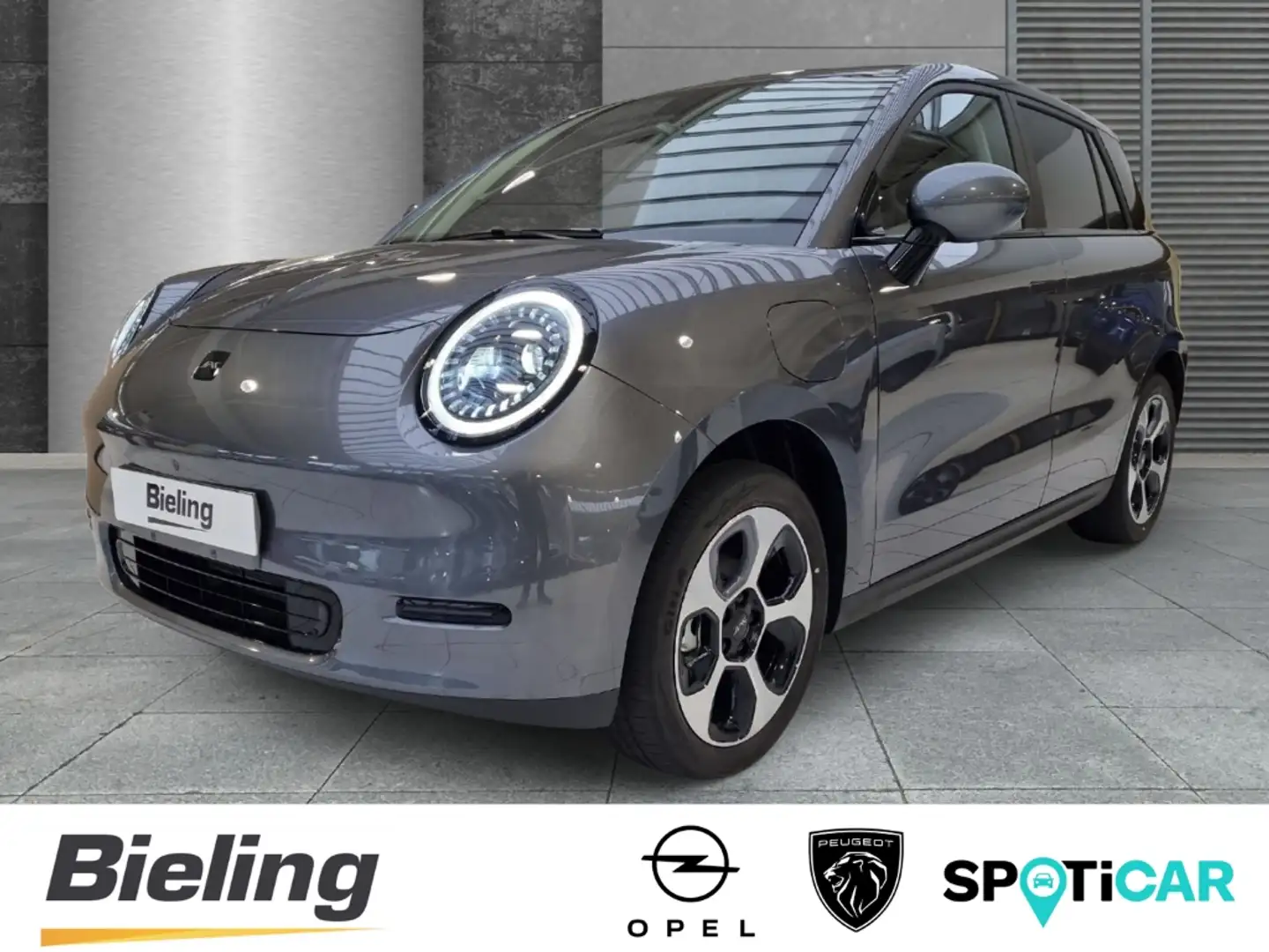 JAC Sonstige E30X Pure 40, 3-Phasig 11KW, Sitzheizung, PDC Grau - 1