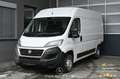 Fiat Ducato 30 115 Multijet L2H2 3,0t Pickerl NEU Weiß - thumbnail 1