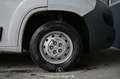 Fiat Ducato 30 115 Multijet L2H2 3,0t Pickerl NEU Weiß - thumbnail 7