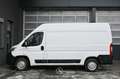 Fiat Ducato 30 115 Multijet L2H2 3,0t Pickerl NEU Weiß - thumbnail 6