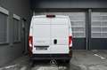 Fiat Ducato 30 115 Multijet L2H2 3,0t Pickerl NEU Weiß - thumbnail 4