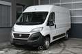 Fiat Ducato 30 115 Multijet L2H2 3,0t Pickerl NEU Weiß - thumbnail 1