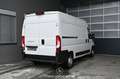 Fiat Ducato 30 115 Multijet L2H2 3,0t Pickerl NEU Weiß - thumbnail 2
