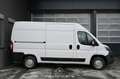 Fiat Ducato 30 115 Multijet L2H2 3,0t Pickerl NEU Weiß - thumbnail 5