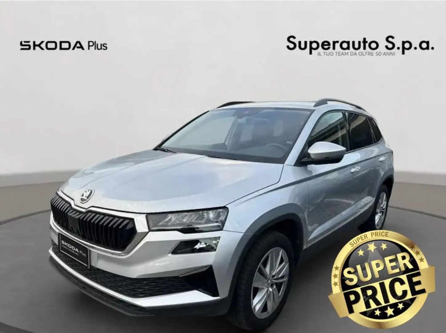 Skoda Karoq Karoq 2.0 TDI EVO SCR 115 CV DSG Executive Gris - 1