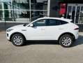 Jaguar E-Pace 2017 2.0d i4 S awd 150cv auto my19 Blanc - thumbnail 12