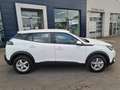 Peugeot 2008 BlueHDi 110 S&S Active Pack Weiß - thumbnail 7