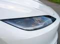 Tesla Model 3 Model 3 Long Range AWD 79kWh Weiß - thumbnail 19