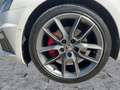 Skoda Octavia 2.0 TDI 4x4 RS LED+NAVI+ACC+SHZ+RFK+DAB Wit - thumbnail 8