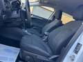 Ford Focus 1.5EcoBlue 120 Aut. SW Active Wit - thumbnail 13