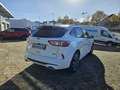 Ford Kuga 2.5 Duratec PHEV ST-LINE X Weiß - thumbnail 3