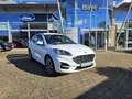Ford Kuga 2.5 Duratec PHEV ST-LINE X Weiß - thumbnail 1