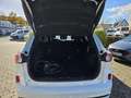 Ford Kuga 2.5 Duratec PHEV ST-LINE X Weiß - thumbnail 4