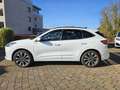 Ford Kuga 2.5 Duratec PHEV ST-LINE X Weiß - thumbnail 7