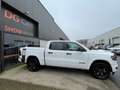 Dodge RAM Limited Night Edition V8 Weiß - thumbnail 4