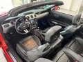 Ford Mustang GT 5.0 Convertible ASCH KOMPRESSOR Orange - thumbnail 11