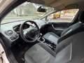 Ford Fiesta 1,6 TDCi 70kW DPF Titanium Blanc - thumbnail 10