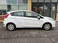 Ford Fiesta 1,6 TDCi 70kW DPF Titanium Blanc - thumbnail 7