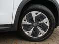 Skoda Kodiaq 2.0 TSI Selection 4x4 ACC MATRIX-LED Weiß - thumbnail 5