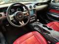 Ford Mustang Mustang Fastback 2.3 ecoboost 317 cv Nero - thumbnail 8