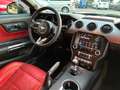Ford Mustang Mustang Fastback 2.3 ecoboost 317 cv Nero - thumbnail 12