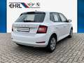 Skoda Fabia Ambition DAB Klima PDC Weiß - thumbnail 5