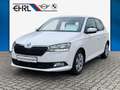 Skoda Fabia Ambition DAB Klima PDC Weiß - thumbnail 1