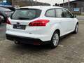 Ford Focus Turnier Business Service,Zahnriemen Neu Blanc - thumbnail 4