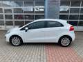 Kia Rio 1.4 , wenig KM, USB , 1.Hand , 6-Gang, HU/AU neu Weiß - thumbnail 6