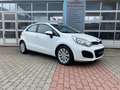 Kia Rio 1.4 , wenig KM, USB , 1.Hand , 6-Gang, HU/AU neu Weiß - thumbnail 2