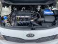 Kia Rio 1.4 , wenig KM, USB , 1.Hand , 6-Gang, HU/AU neu Weiß - thumbnail 13