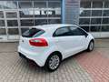 Kia Rio 1.4 , wenig KM, USB , 1.Hand , 6-Gang, HU/AU neu Weiß - thumbnail 9