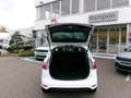 Ford B-Max B-Max 1.5 TDCi 75 CV Titanium Blanc - thumbnail 22