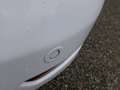 Ford B-Max B-Max 1.5 TDCi 75 CV Titanium Blanc - thumbnail 21