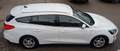 Ford Focus Traveller 1,5 EcoBlue Titanium Aut. Weiß - thumbnail 6