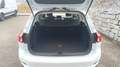Ford Focus Traveller 1,5 EcoBlue Titanium Aut. Weiß - thumbnail 16
