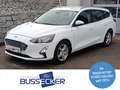 Ford Focus Traveller 1,5 EcoBlue Titanium Aut. Weiß - thumbnail 1