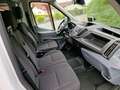 Ford Transit, 470 L3 Einzelkabine, Pritsche Plane,  AHK Weiß - thumbnail 7