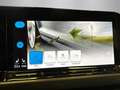 Volkswagen Golf GTD +LED+ASSISTS+DAB+EINPARK+AMBIENTE+WINTE Grau - thumbnail 18